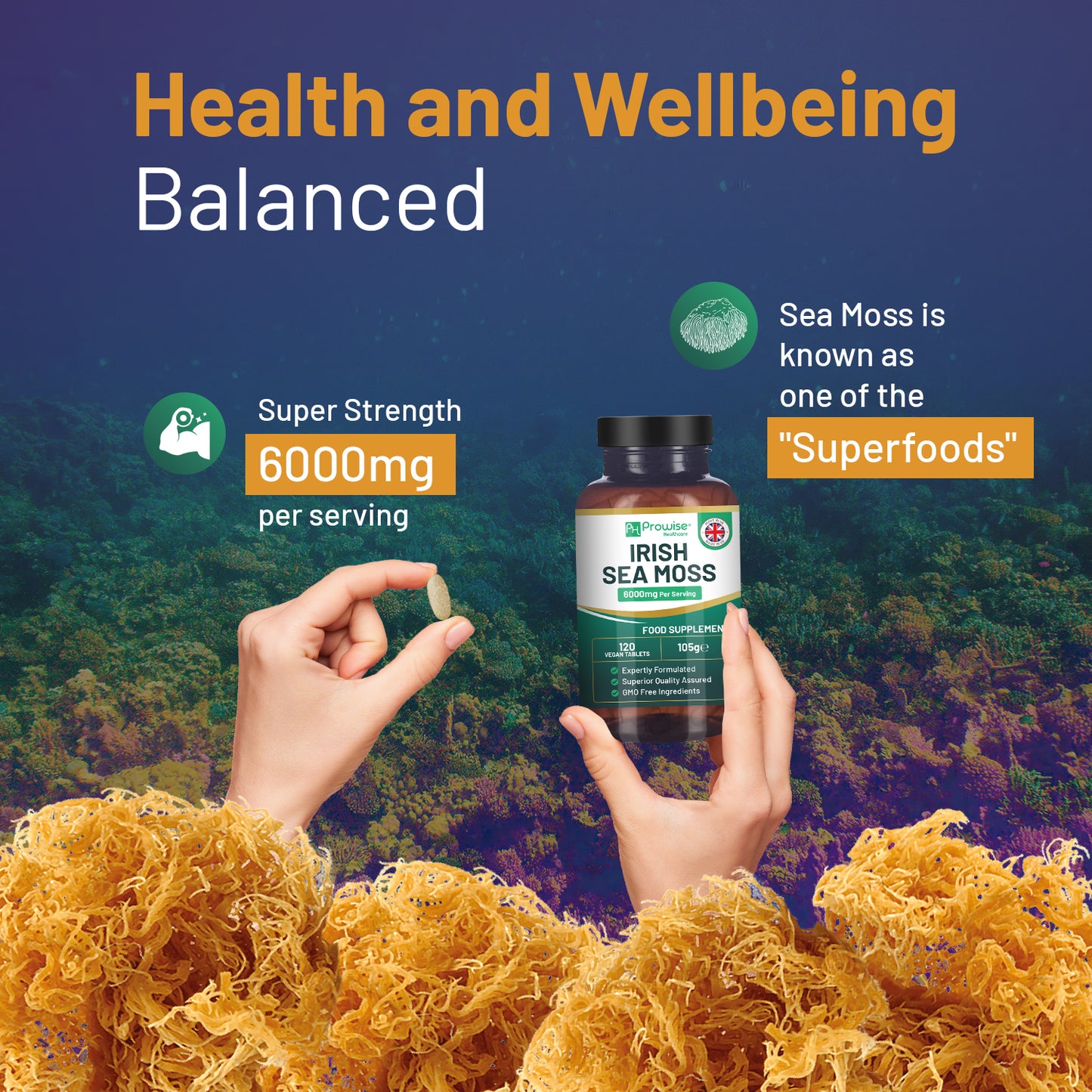 Irish Sea Moss Tablets 6000mg